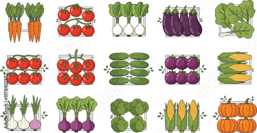 Fresh Vegetables Crate Vector Set with Tomatoes Carrots Eggplants Corn Pumpkins Garlic and Organic Farm Produce in Flat Illustration Style Design.