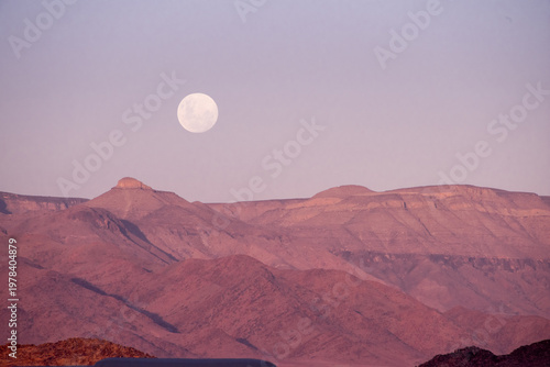 Golden dunes rise like waves frozen in time, stretching endlessly under a sky painted with soft pastels, where solitude and silence reveal the raw soul of Namibia’s desert.
