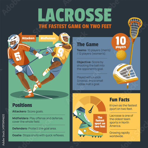 Lacrosse infographic with rules positions and gameplay information illustration