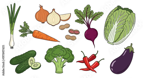 Fresh vegetables are arranged on a clean surface for display