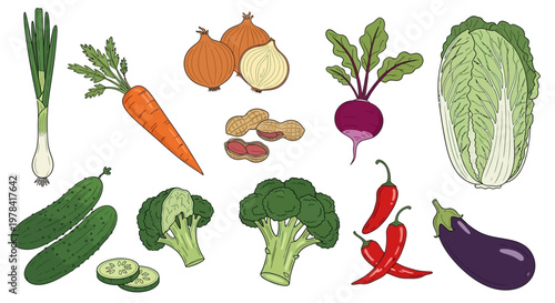 A colorful assortment of fresh vegetables including onions, carrots, beets, cabbage, cucumbers, broccoli, peppers, and eggplant on a table.