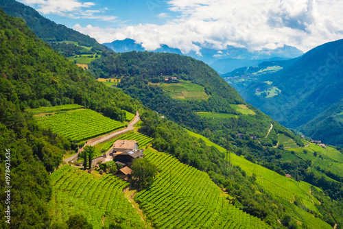 A charming village is nestled among lush, terraced vineyards near the city of Bolzano, Tyrol province, Italy. Majestic Alpine mountains rise in the background