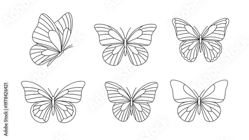 Set of six black outlined butterflies in various flying positions on white background illustration