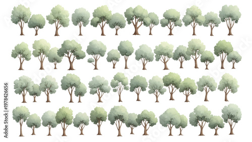 Collection of various green trees with brown trunks in rows on white background for design and decoration