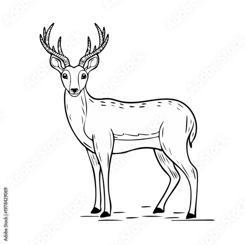 Elegant illustration of a stag with impressive antlers standing majestically