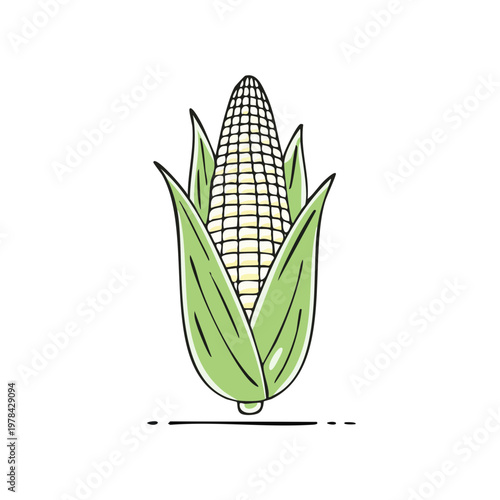 Illustration of a fresh ear of corn with green husks and a stylized harvest line