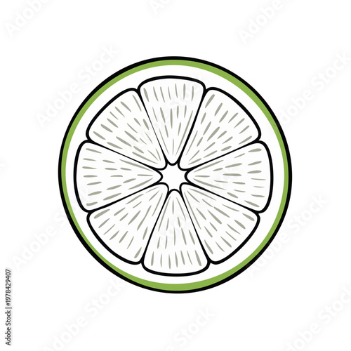 Hand Drawn Slice of Lime Fruit with Juicy Segments and Green Outline Isolated
