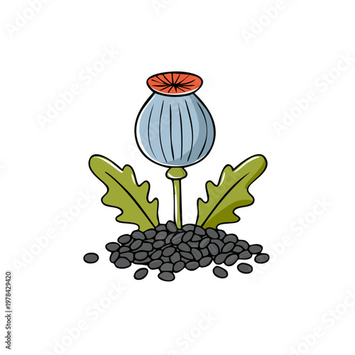 Poppy seed head with leaves and a pile of dark seeds illustration