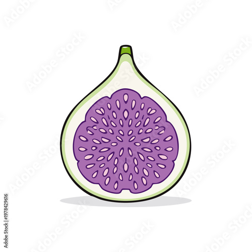 Cross section of a ripe green fig revealing its juicy purple interior seeds and pulp