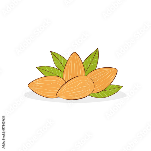 Hand drawn illustration of several almond nuts clustered together with green leaves