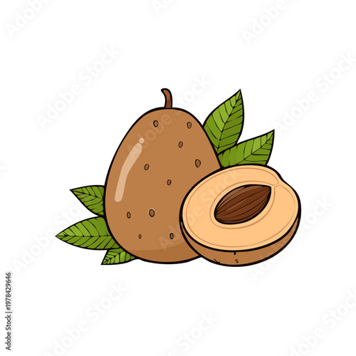 Freshly cut tropical fruit with healthy green leaves surrounded by a white background