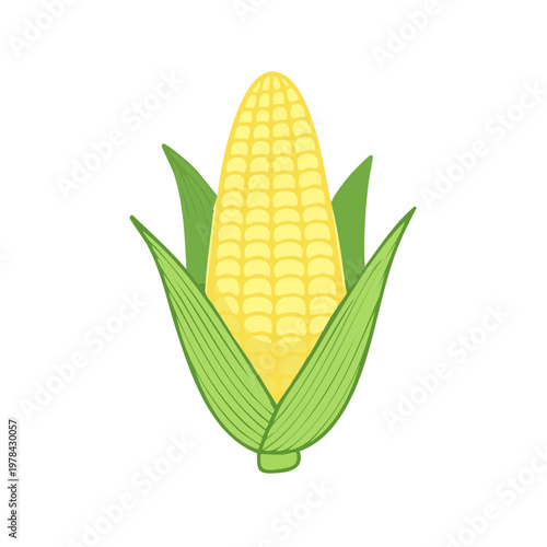 Fresh Yellow Corn Cob with Green Leaves Isolated on White Background