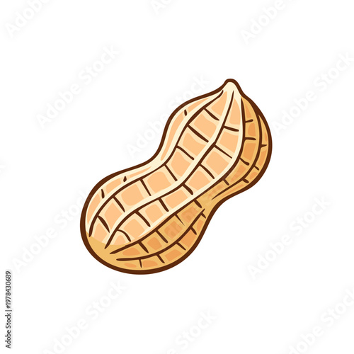 Hand drawn illustration of a single peanut in its shell with a textured brown surface and a simple outline