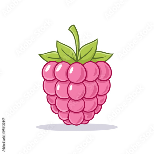 Vibrant cartoon raspberry with green leaves and stem depicted as a stylized illustration