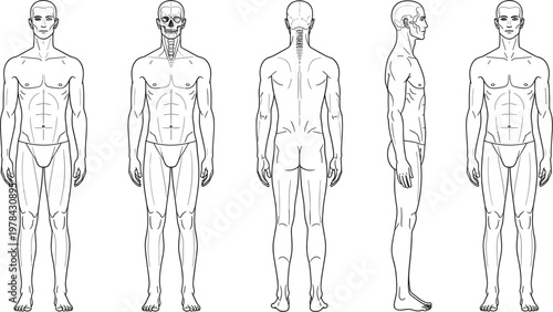 Professional male body template vector showing front back and side views for fashion illustration technical drawing and anatomical human figure proportion studies.