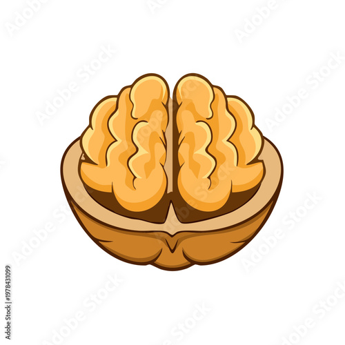 Stylized Cross-Section of a Walnut Showing Brain-Like Kernels