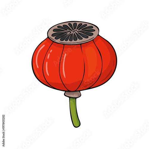 Vibrant red poppy seed pod illustration with green stem and textured cap