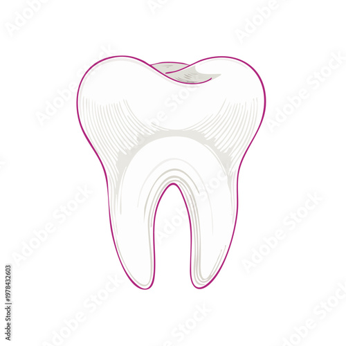 Stylized White Tooth Illustration with Purple Outline and Engraved Details