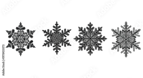 Four intricately detailed snowflake illustrations are displayed in a horizontal arrangement on a white background