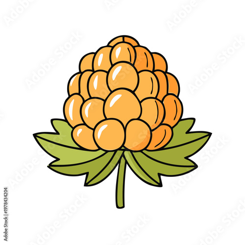 Hand drawn illustration of a bright orange cloudberry fruit with green leaves