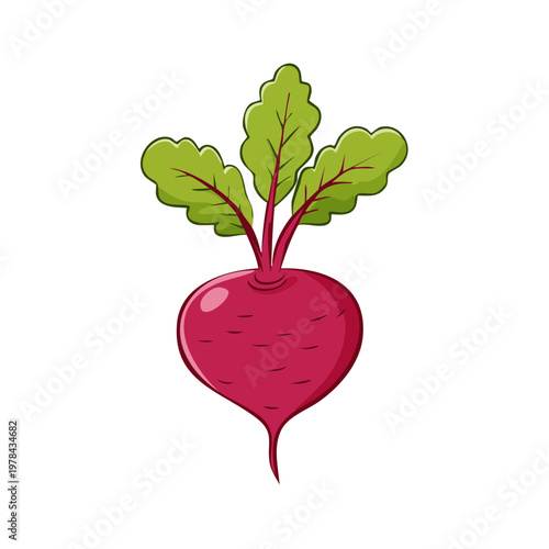 Vibrant cartoon beet with green leaves on a white background