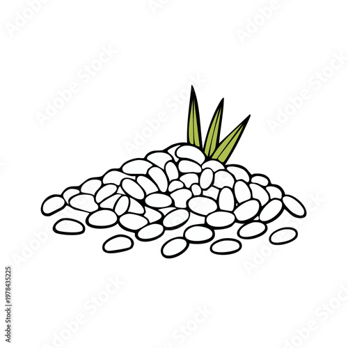 Pile of white beans with green sprout illustration