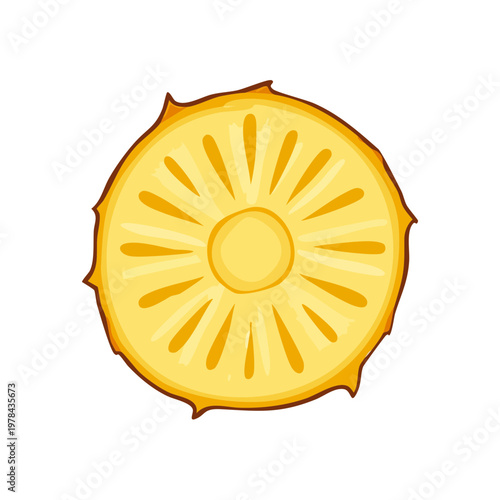 Slice of tropical pineapple fruit with bright yellow flesh and spiky skin