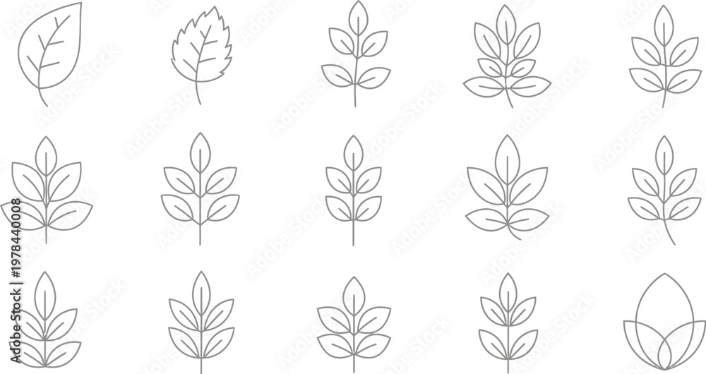 Fototapeta premium Adobe Illustrator Artwork