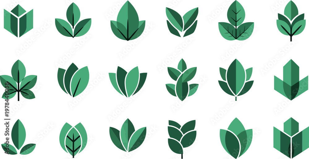 Fototapeta premium Adobe Illustrator Artwork