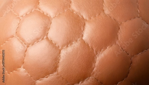 Close-up of a textured surface with a pattern of rounded shapes.