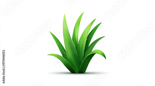 Clump of vibrant green foliage sprouts upward from a white surface