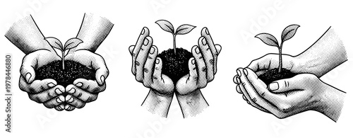 Hands holding young seedling with soil in three poses. not ideal dots