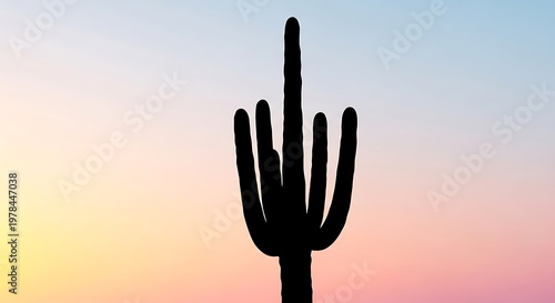 Minimalist cactus silhouette against colorful sunset gradient sky, desert nature background with copy space, calm evening landscape aesthetic
