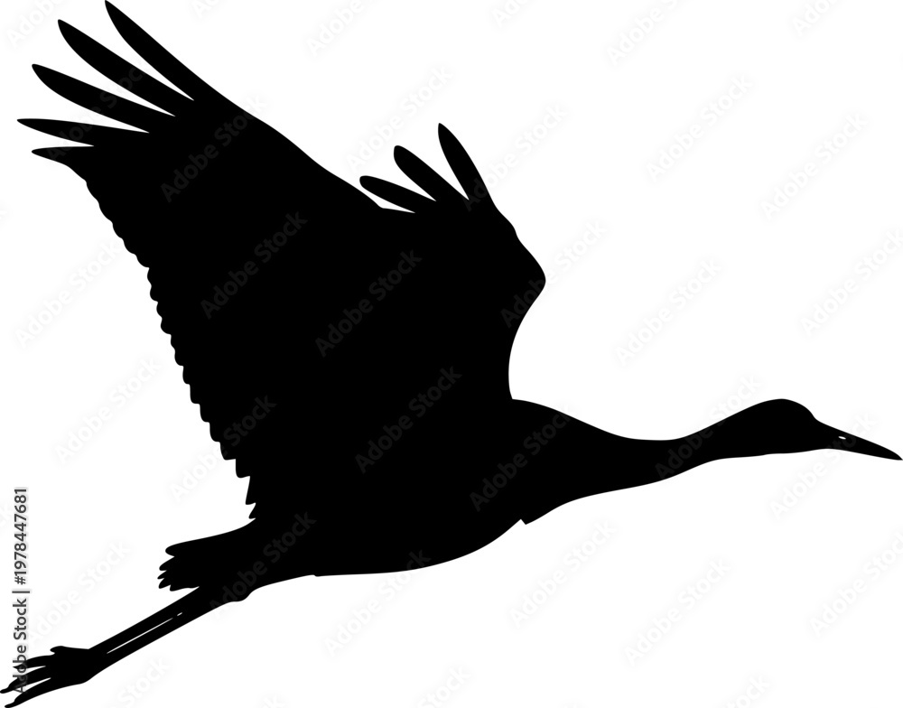 Obraz premium Crane bird svg, Crane bird silhouette, Japanese crane svg, Sandhill crane svg, Crane silhouette, Crane svg set