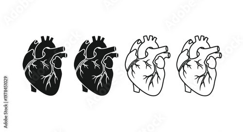 Four anatomical heart illustrations depict varying levels of detail and stylistic rendering