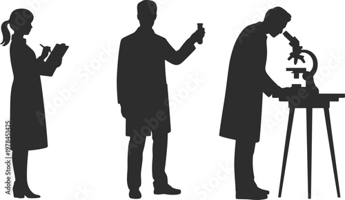 Scientists working in laboratory silhouettes, research and experiment concept illustration, lab professionals using microscope and notes, science teamwork, isolated black figures on white background