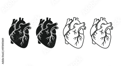 Four anatomical heart illustrations showcase varying levels of detail and shading in black and white