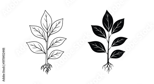 Two leafy plant stems with roots displayed in a stark silhouette