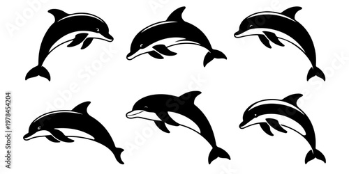 Set of dolphin silhouettes in different swimming poses marine animals