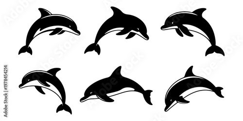 Set of dolphin silhouettes in different swimming poses marine animals