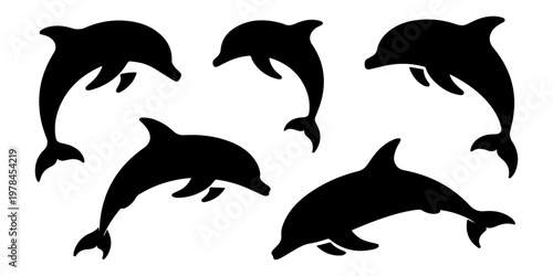 Set of dolphin silhouettes in different swimming poses marine animals