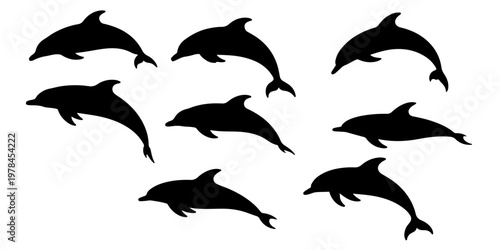 Set of dolphin silhouettes in different swimming poses marine animals