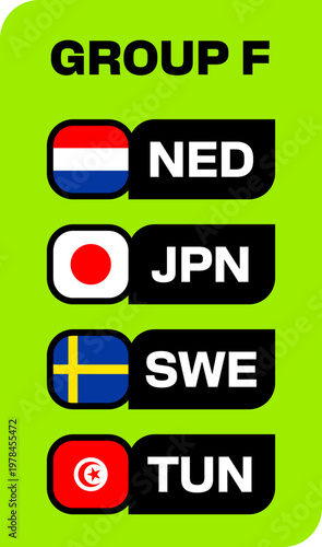Group F Football Flags Stylized