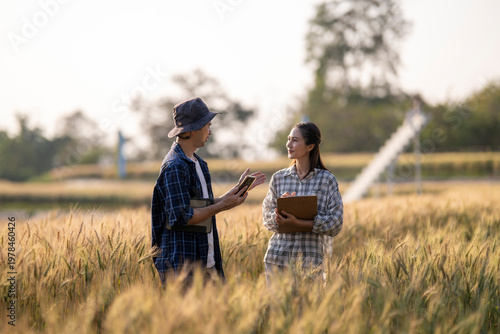 Quadro su tela Agronomists discussing crop research in barley field