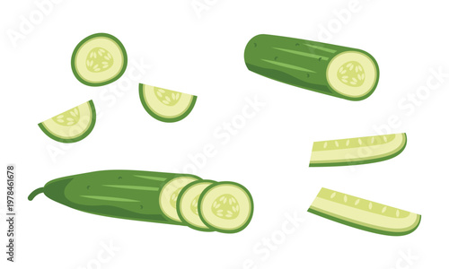 Fresh cucumber set with whole, halved, and sliced pieces. Vector illustration isolated on white. Ideal for healthy food and organic product design.
