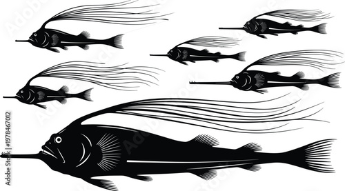 Black silhouette illustrations of various deep sea fish with long snouts and flowing fins