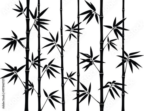 Black silhouette of bamboo stalks and leaves on a white background plant leaf