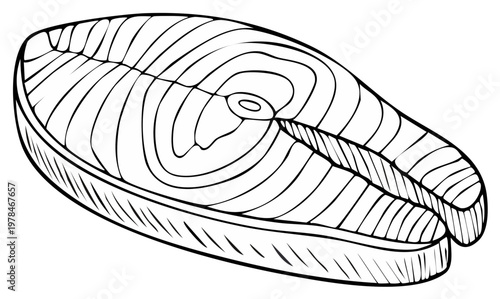 Hand-drawn illustration of a raw salmon steak with visible flesh lines and skin outline