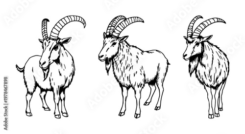 Norse Mythology animal set with hand-drawn organic art style featuring Viking gods, Thor's goat, Geri with Freki and mythological creatures