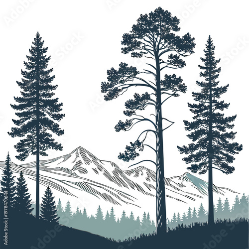 Hand drawn vintage style mountain landscape with tall pine and spruce trees in the foreground forest mountains landscape outdoors wilderness adventure exploration monochrome artistic majestic